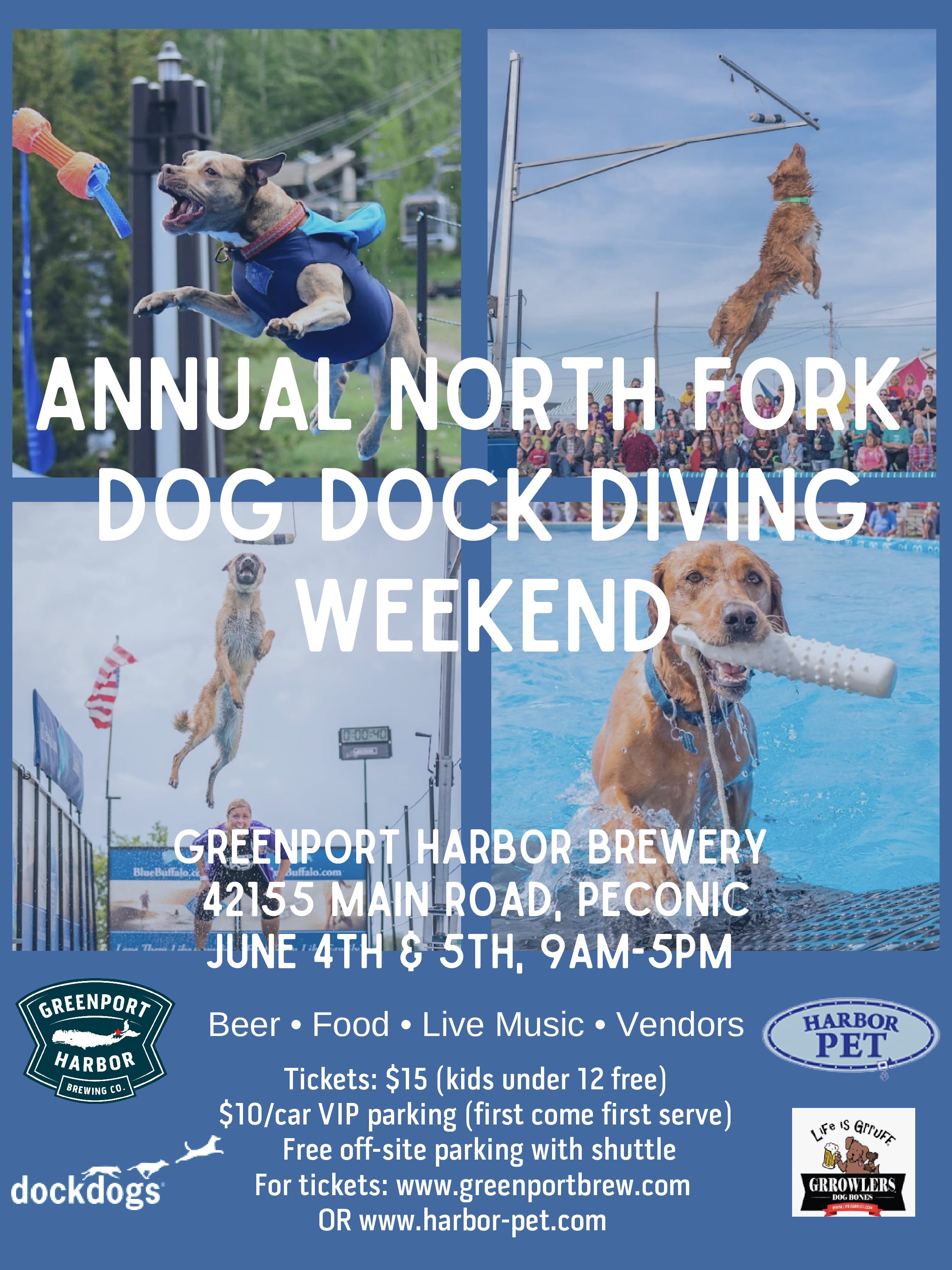 is dock diving safe for dogs