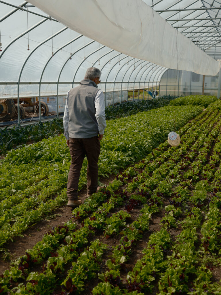 The Peconic Land Trust is forty years old, and very wellpreserved