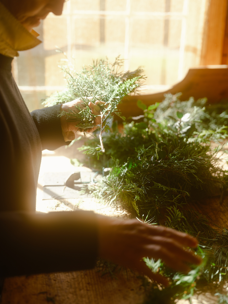 A Green Season of Splendor: Bringing the outdoors inside this holiday ...